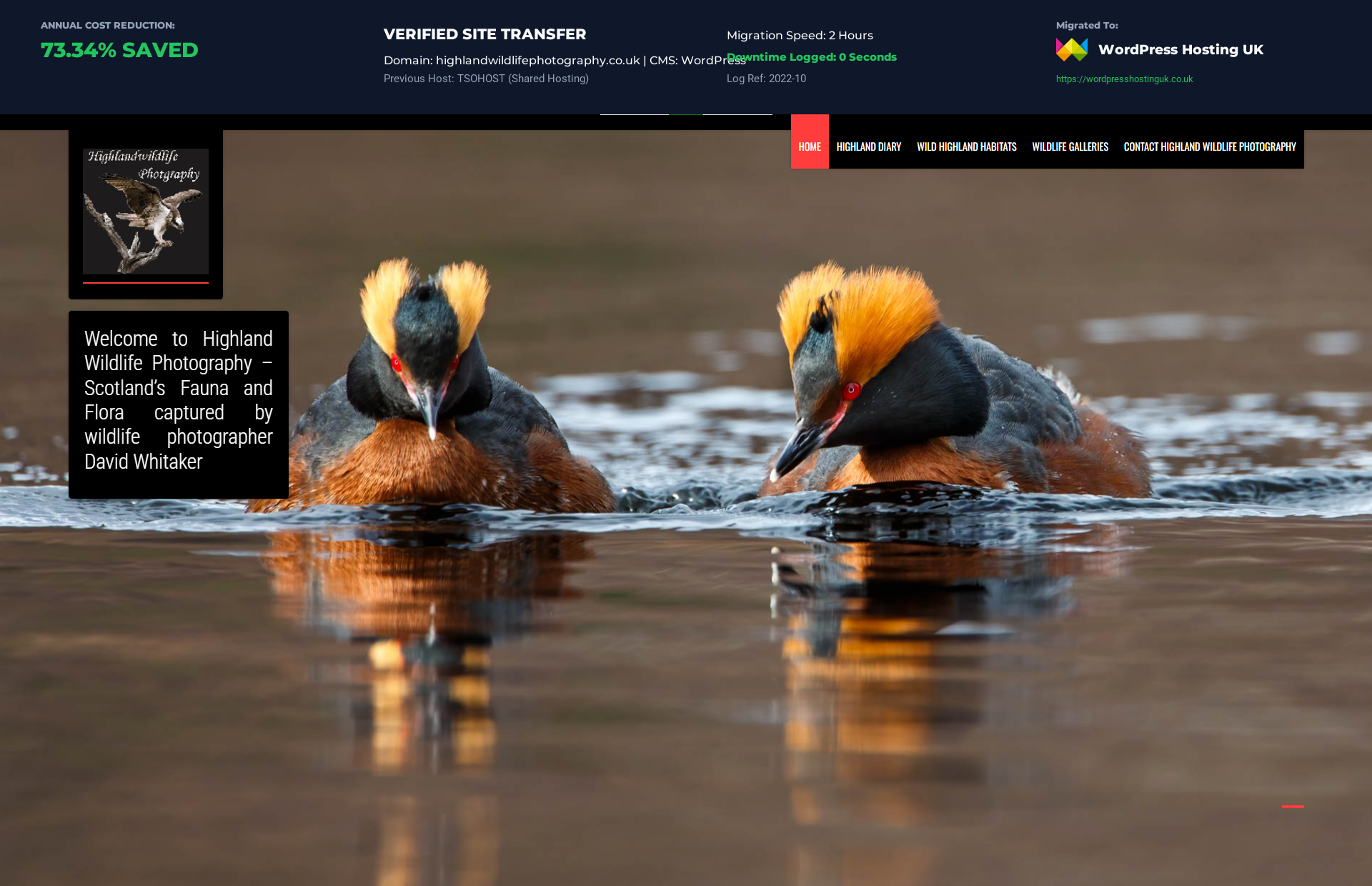 Proof of cutting high renewal pricing by moving the Highlandwildlifephotography WordPress website from TSOHOST (Shared Hosting) to WordPress Hosting UK. Saving verified for business in London.